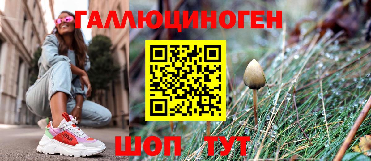 купить закладку  Вход с VPN  Тосно  Галлюциногенные грибы мухоморы 